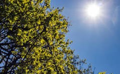 RADIOKTUBRE INFO..EL CLIMA HOY EN SANTA SYLVINA CHACO..Por Simon Suarez